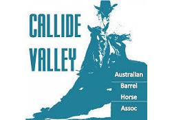 ABHA Callide Valley